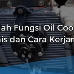 Fungsi oil cooler